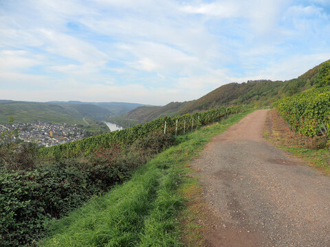 Herbst an der Mosel vom Aussichtspunkt Zummeth&ouml;he bei Leiwen und Trittenheim