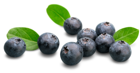 Fresh Ripe Blueberries isolated on white