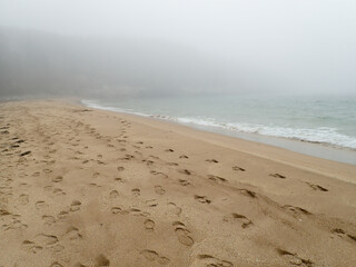 Ocean shore in a morning fog