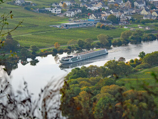 Fototapeta premium Herbst an der Mosel vom Aussichtspunkt Zummethöhe bei Leiwen und Trittenheim