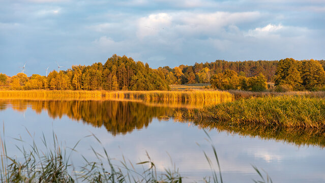 Landschaft mit B&auml;umen, Schilf, wolkigem Himmel und der Spiegelung der Wolken im See