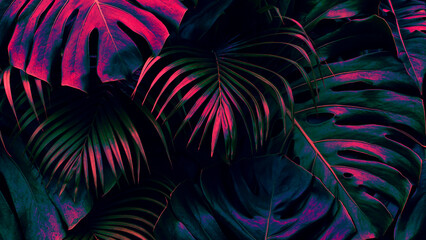 Tropical leaves, dark jungle background, color toned © pernsanitfoto