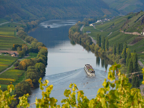 Herbst an der Mosel vom Aussichtspunkt Zummeth&ouml;he bei Leiwen und Trittenheim