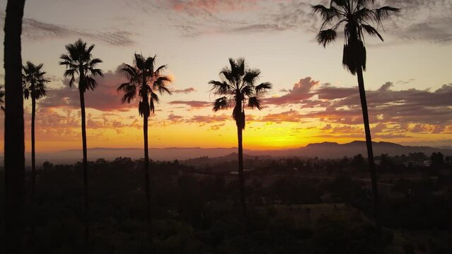 Aerial shot of dramatic clouds and the setting sun behind a row of palm trees. Los Angeles California.
