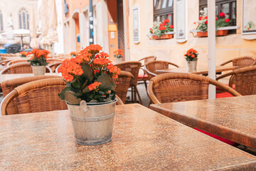 Fototapeta na wymiar An empty table in a cafe decorated with a potted plant