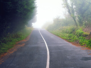 Small narrow country road in a fog. Dangerous driving conditions. Green trees on a side.