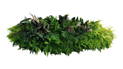 Green and variegated leaves of tropical foliage plant bush with various types of ferns, Calathea...
