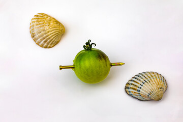 A green tomato with a nail sticking thru it with some clam shells