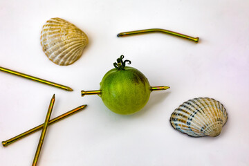 A green tomato with a nail sticking thru it with some clam shells