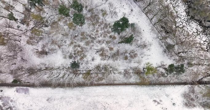 Aerial straight down view of trees and walking path in a forest in nature area Witte Veen covered with snow, Twente, Overijssel, Netherlands
