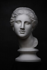 A copy of the plaster ancient Greek bust of Aphrodite