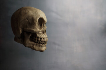 human skull profile on grey background