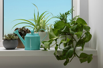Different beautiful houseplants and light blue metal watering can on window sill indoors