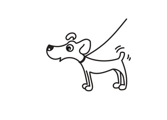 A cute puppy on a leash stands and looks. Vector single color contour illustration.