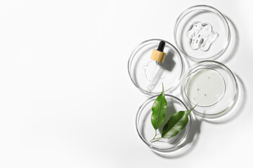Petri dishes with samples, leaves and pipette on white background, top view