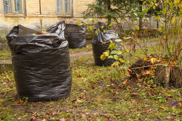several black bags of foliage stand not far from the building