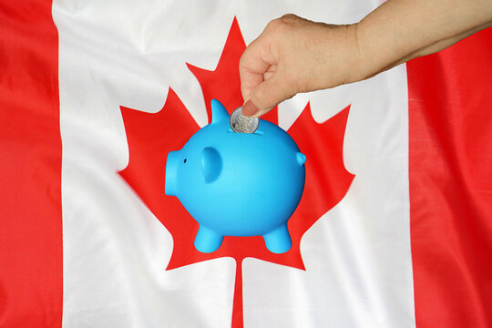 Hand Of Elderly Woman Putting Coin Into Piggy Bank On Canada Flag Background. Hand Putting Coin To Piggy Bank. Retirement Savings, Piggy Bank. Concept Saving Money And Retirement Fund In Canada