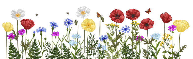 Obraz premium Wild herbs. Wildflowers in summer. Red poppies, cornflowers, forget-me-nots, yellow buttercups, ferns, butterflies, bees