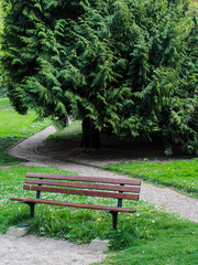 banc, parc, gazon, nature, arbre, chaise