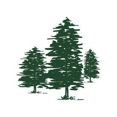 Pine tree design element for logo, poster, card, banner, emblem, t shirt. Vector illustration