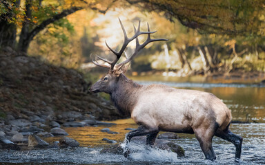 Elk River Crossing at sunrise