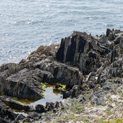 Fototapeta na wymiar Exposed rocks on the seashore. Seaside rocks in sunny weather, rock formation near body of water.