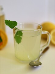 cup of lemon juice with mint leaves, home made lemonade