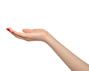 Female hand palm up,  well-groomed short nails with red nail polish