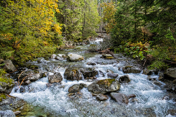Scenery of brook in Dill valley, High Tatras mountain, Slovakia