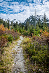 Fototapeta na wymiar Autumn scene in Dill valley, High Tatras mountain, Slovakia