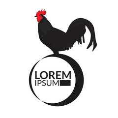 Fototapeta na wymiar Chicken Logo Character. illustration of Rooster chicken Vector logo template illustration