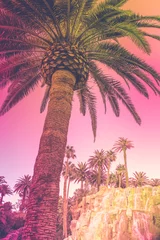 Foto op Plexiglas Palm tree at sunset. Las Vegas City Nightscape in Nevada, USA © Naya Na