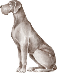 Great dane dog illustration