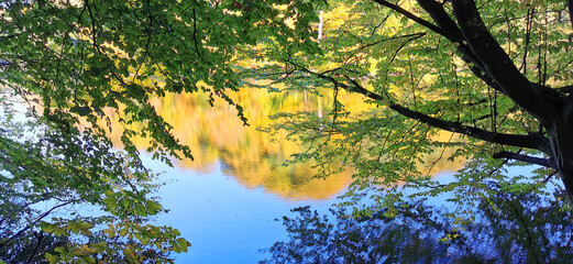 Autumn colors in the forest and the trees and blue sky  reflecting in the lake