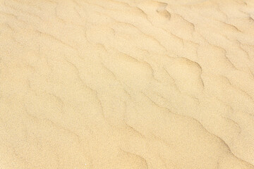 Fototapeta na wymiar natural background, sandy desert surface with wind ripples