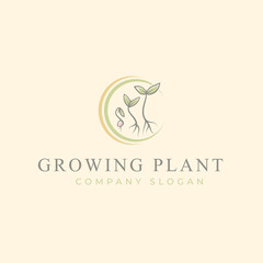 Grow plant process logo