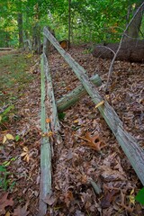 Post and rail fencing ruins in woodland at trail side