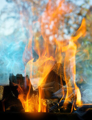 burning firewood in a brazier in the garden, fire flames outdoors