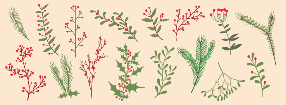 Hand drawn Christmas branches