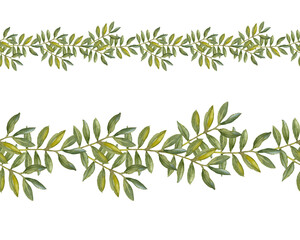 Green leaves of Ruscus. Greenery collection. Seamless border. Watercolor hand-drawn illustration on white background.