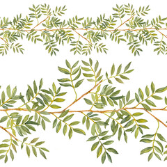 Naklejka premium Ruscus. Greenery collection. Seamless border. Watercolor hand-drawn illustration on white background.