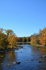 Fototapeta na wymiar Landscape with river and autumn foliage.