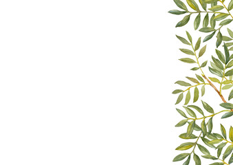 Branches of green Ruscus. Greenery collection. Brochure design template. Watercolor hand-drawn A4 layout on white background.