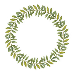 Obraz premium Green leaves of Ruscus. Greenery collection. Hand-drawn watercolor wreath. Design template. Artistic illustration on a white background.