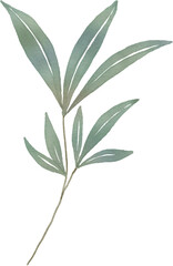 leaf watercolor Clipart