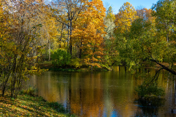 The trees in the park in autumn are beautifully reflected in the water. Good weather invites you to take a walk in the park and forest. Photo tourism brings joy
