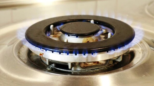 Gas cooker with burning flames of gas. Domestic kitchen with blue flames burning