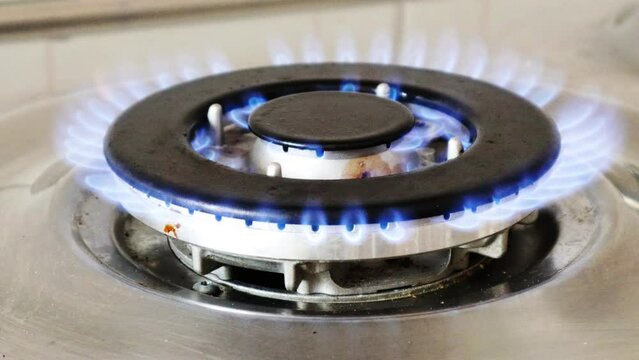 Gas cooker with burning flames of gas. Domestic kitchen with blue flames burning