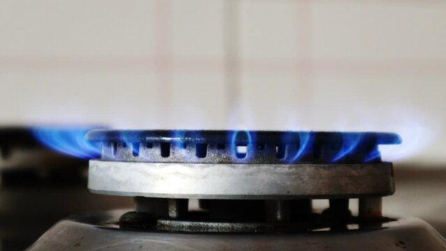 Gas cooker with burning flames of gas. Domestic kitchen with blue flames burning