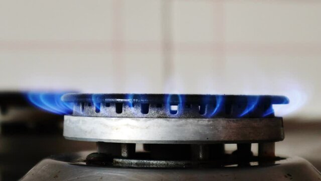 Gas cooker with burning flames of gas. Domestic kitchen with blue flames burning